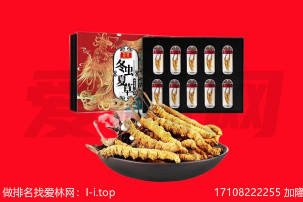 甘孜州康定回收虫草.jpg